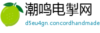 潮鸣电掣网